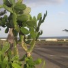 Gobierno busca rescatar malecón y la Ciudad Colonial Malecon