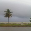 Tema libre IMG01496-20101105-1259.jpg