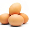La cifra del día: Presidente entregará RD$100 millones a productores de huevos Huevos