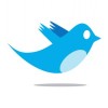 Twitter ya no garantiza el anonimato de sus usuarios Twitter