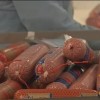 Evangélicos dudan de informe sobre el salami Salami