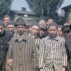 Auschwitz: a 70 años del fin del horror judios holocausto