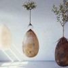 “Cápsulas ataúdes”, moda ecológica a la hora de morir ataud ecologico