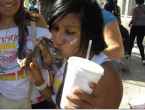 Joven  besa en la boca una culebra en el carnaval vegano (video)