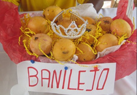 República Dominicana exportó 10 millones de kilos de mango en 2013