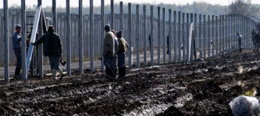 Migrantes Critican Nuevo Muro De Contenedores En Frontera México-EEUU ...