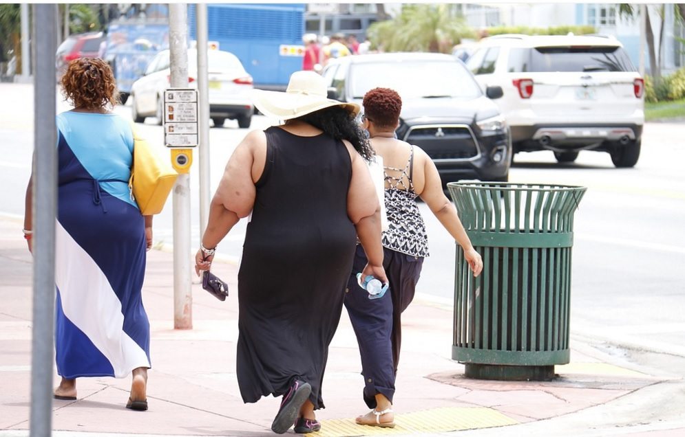 Obesidad, desnutrición, clima: tres males y una misma amenaza