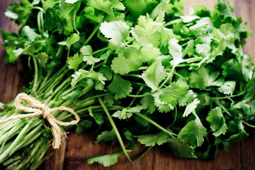 10 Poderosos Beneficios Del Cilantro Para La Salud Ensegundos Do