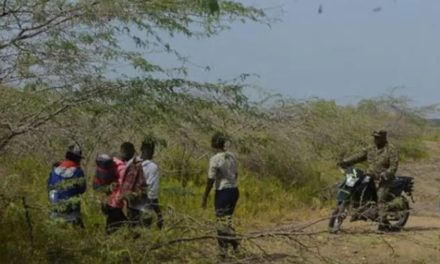 Tribunal impone prisión preventiva a cabecillas de red que traficaba con haitianos