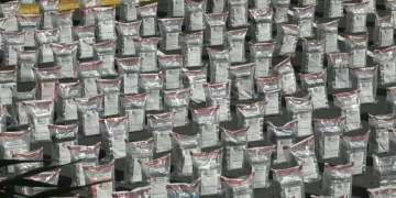 Cocaina